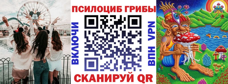 как найти закладки  кракен зеркало  Псилоцибиновые грибы Psilocybine cubensis  Прокопьевск 